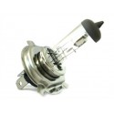Lampada Alogena HS1 12V35/35W PX43T Motorini Scooter Marca Poli