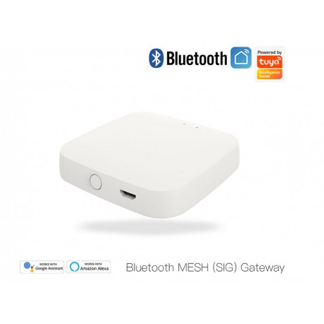 Gateway Bluetooth BLE Mesh Senza Cavo 