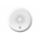 ZigBee Sensore Fumo Rilevatore di Fumo Allarme Antincendio 