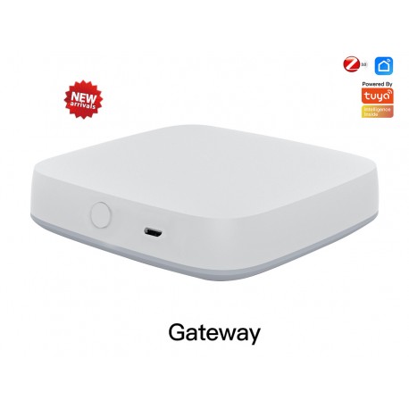 ZigBee 3.0 Gateway Con Cavo Rete Hub Bridge 