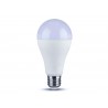 Lampada Led E27 A65 17W 1521lm Bulbo Sfera