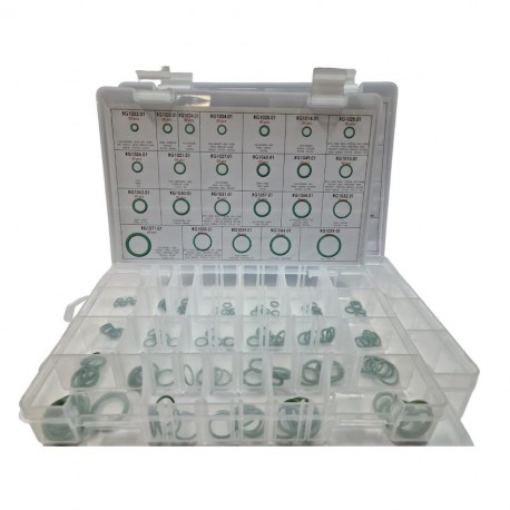KIT ERRECOM ORINGS (120 PZ)