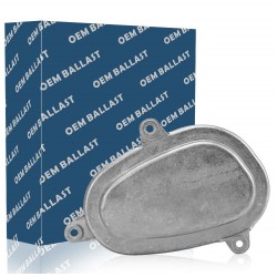 Modulo Centralina LED per Faro Headlight AFS Sinistra OEM 63119477835