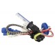 Lampada Xenon H1 6000K Accensione Veloce