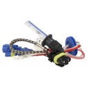 Lampada Xenon H1 6000K Accensione Veloce