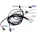 Sistema Accessione e Spegnimento Automatico LAMPADE XENON