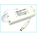 Led Driver Alimentatore Corrente Costante 300mA DC 24V-44V