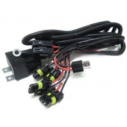 Cablaggio Unico Per Lampada Bixenon H4-4 Doppio Bulbo