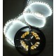 Bobina Led Biadesivo 5 Metri 300 SMD (Vari Colori)
