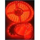 Bobina Led Impermeabile 5 Metri 300 SMD  (Vari Colori)