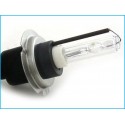 Lampada Xenon H7 EXTRA CORTA 6000K 35W