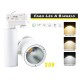 Faro Lampada Led A Binario 30W Trifase CCT CRI 90 Carcassa Bianca 2700K 4000K 6000K 3 In 1 Luce Stretto 24 Gradi