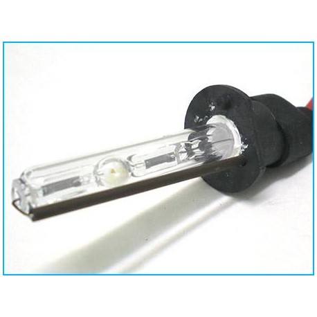 Lampada Xenon H1 6000K 35W