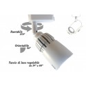 Faro Lampada Led A Binario 10W  bianco