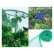Rete Anti Uccelli 4X10m Rete da Giardino Verde Proteggere Piante Frutta Fiori Alberi 
