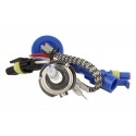 Lampada Xenon H7 4300K Accensione Veloce