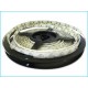 Bobina Led Sfondo Bianco 40W 12V 600 SMD 5 Metri (vari colori)